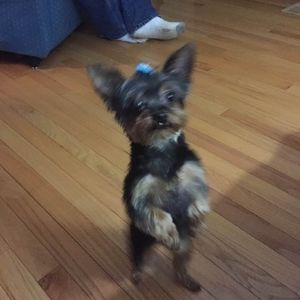 Meet your Posher, Sandra